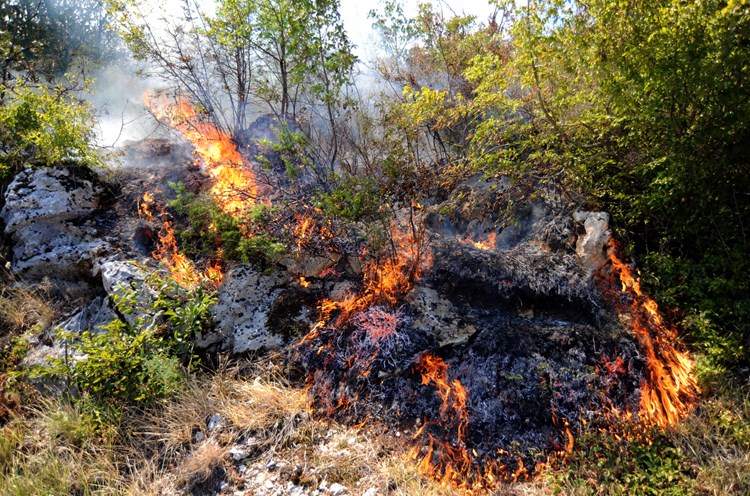 Požar u blizini graničnog prijelaza Kaštel (M. MIJOŠEK)