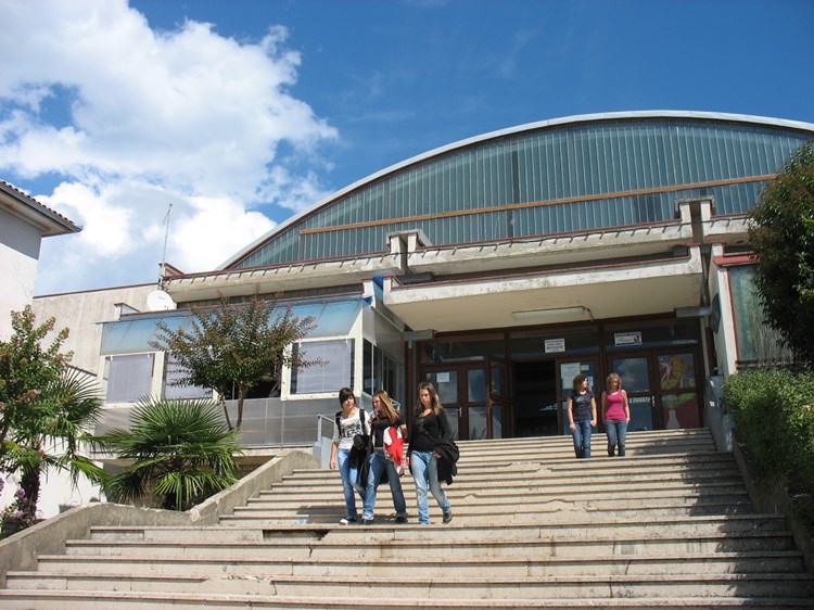 Kandidirana je i sanacija pokrova lučnog krova na sportskoj dvorani labinske Srednje škole Mate Blažine (I. RADIĆ)