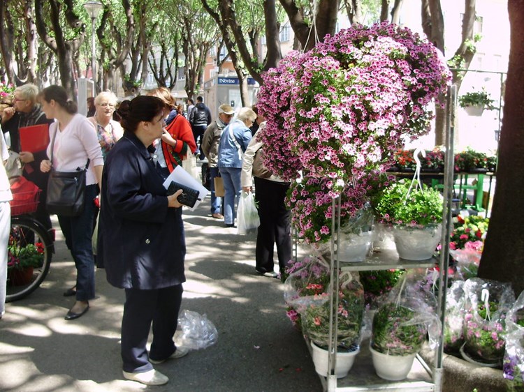 Danas počinje sajam cvijeća Florija na Giardinima (B. PETROVIĆ)