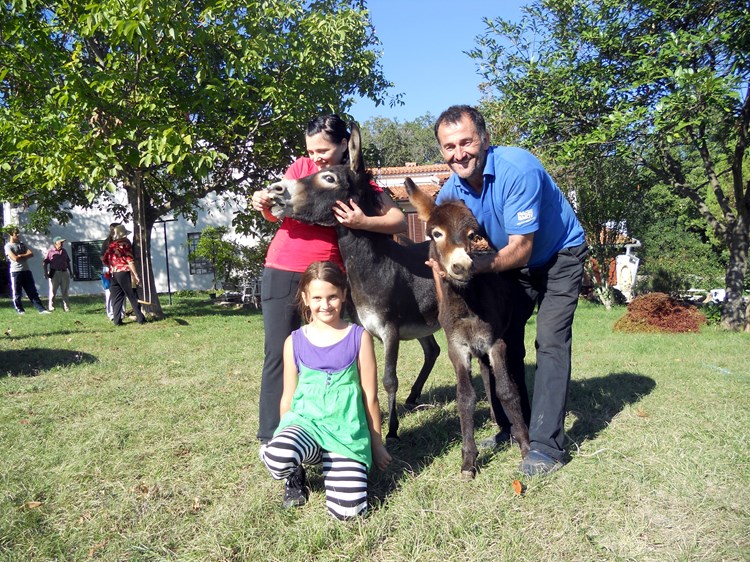 Sanela Osmić, mala Ema i Ivan Perko s magaricom Marijom i pulom Morom