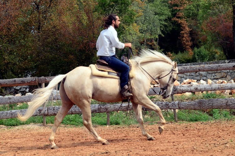 Čovjek i konj kao jedno - Gianluca Bottai