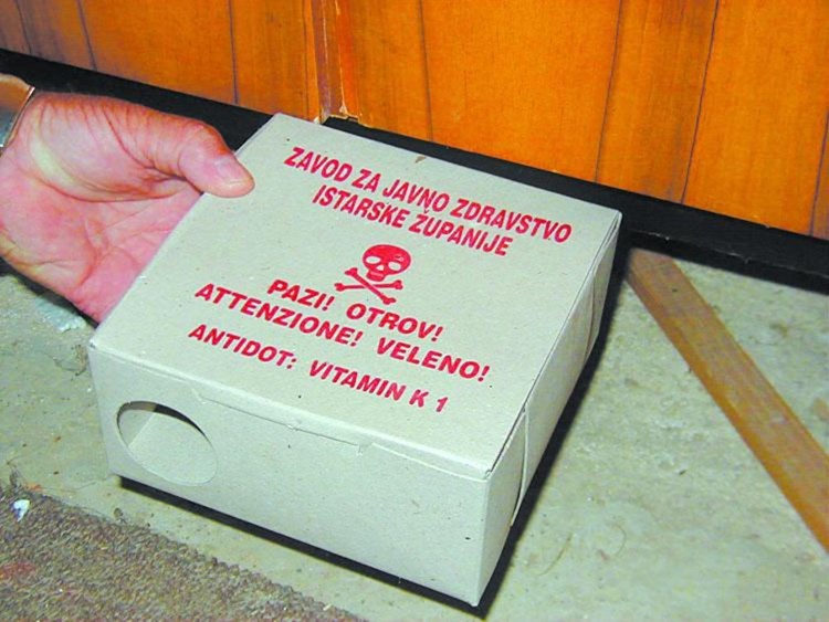 Kutija sa zatvorenim mamcima za štakore
