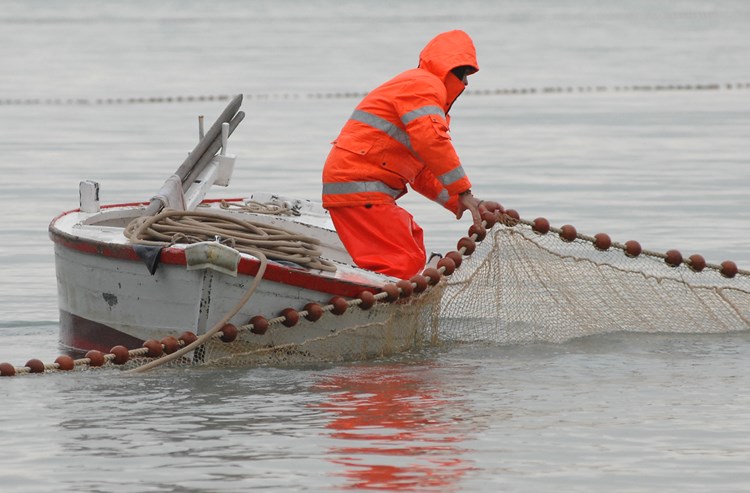 Mali ribari ne mogu obnoviti dozvolu (M. MIJOŠEK)