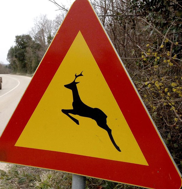 Prometni znak koji upozorava na mogućnost pojave divljači na cesti (arhiva GI)