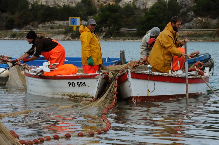 U Istri bi trebalo biti između 400 i 500 malih ribara  (Milivoj MIJOŠEK)
