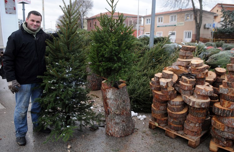 Vremena za kupnju božićnih drvaca još ima dovoljno (D. ŠTIFANIĆ)