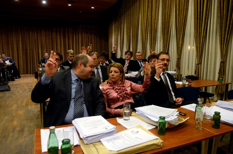 Vijećnici složni u traženju da Istra zadrži političku samobitnost (J. PREKALJ)