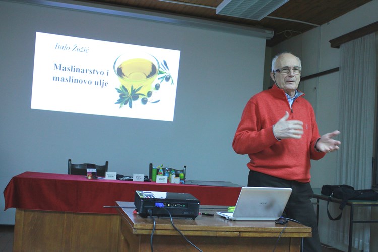 Italo Žužić na predavanju u Višnjanu (M. DAMJAN)