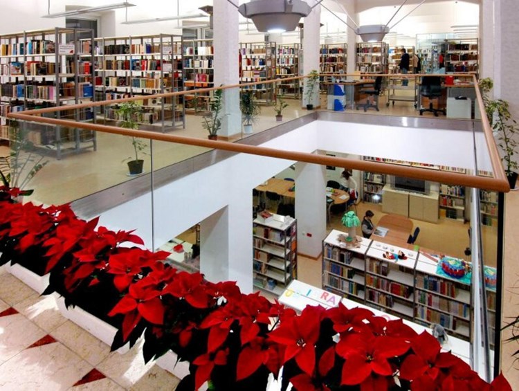 Gradskoj knjižnici i čitaonici Pula najviše sredstava