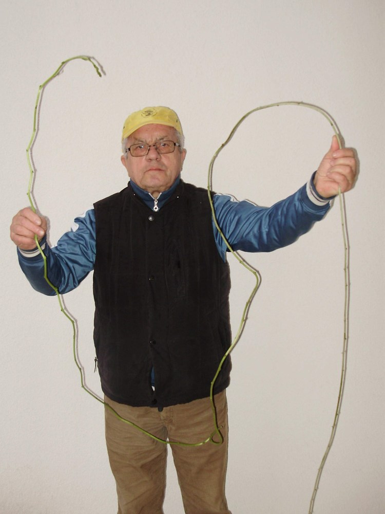 Ivan Barbaro sa šparugom dugačkom 4,3 metra (A. POKRAJAC)