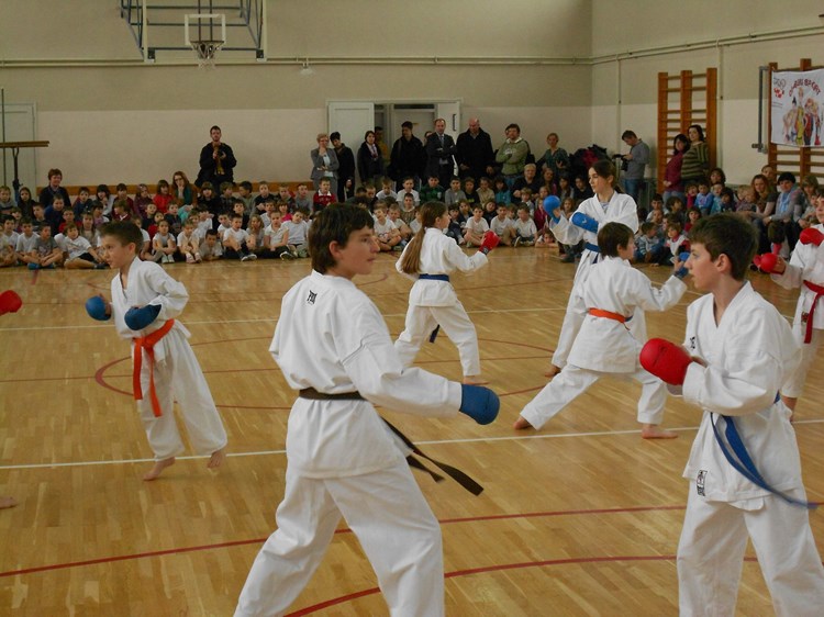 Atraktivan nastup najmlađih članova pazinskog Karate kluba Sensei (D. ŠIŠOVIĆ)