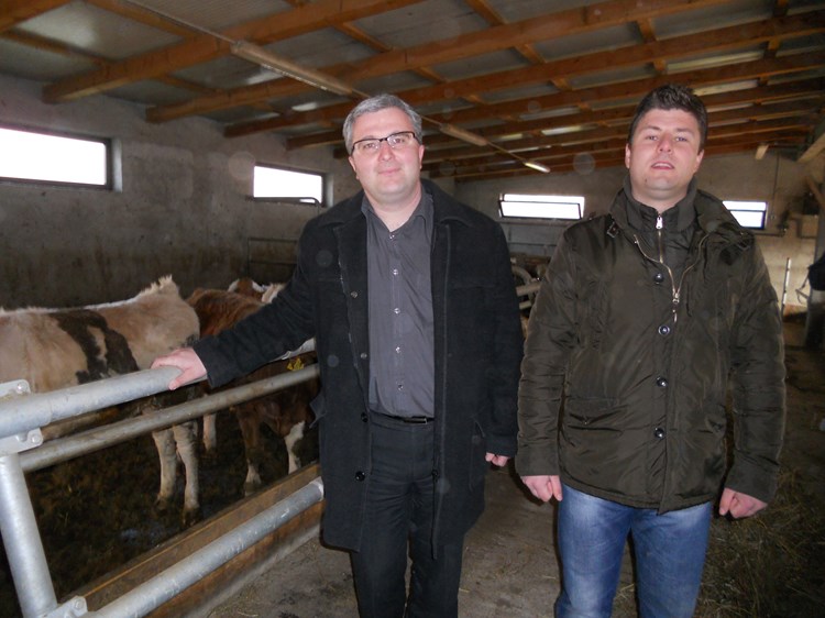 Vedran Majcan i Branko Rončević na farmi u Škuljarima (G. ČALIĆ ŠVERKO)