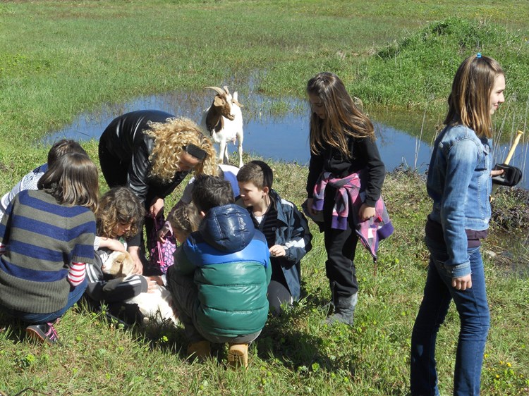 Djeca su uživala u druženju sa životinjama uz lokvu