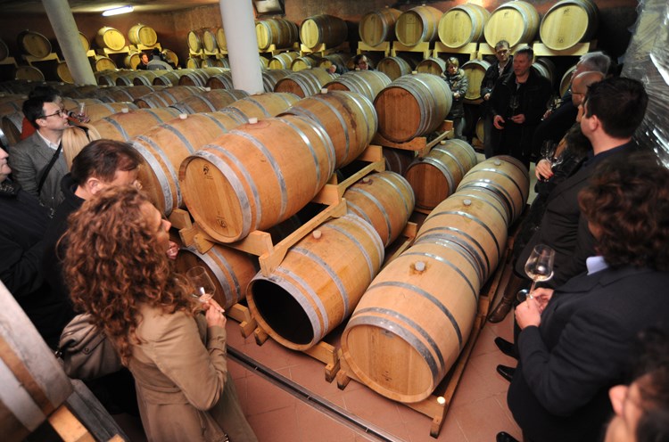 Sudionici manifestacije mogli su se uvjeriti kako izgleda uspješna istarska vinska priča u vinariji Degrassi (M. MIJOŠEK)