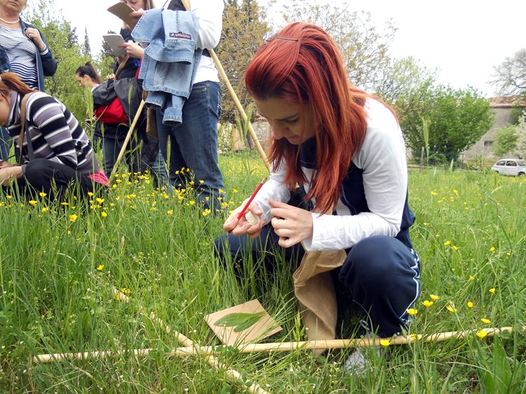 Skupljači ljekovitog bilja na radionici u sklopu kršanskog Festivala samoniklog bilja (Arhiva)