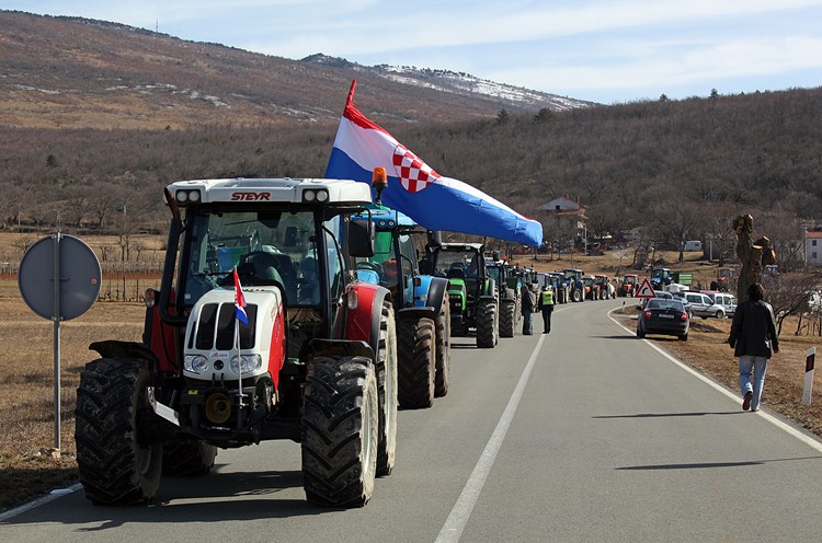 Prosvjed mljekara krajem veljače 2012. - Boljunsko polje (M. ANGELINI)