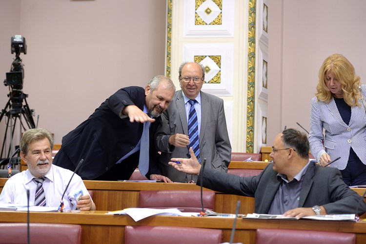 Stranka Silvana Hrelje ostala bez četvrt milijuna kuna (Goran MEHKEK/CROPIX)