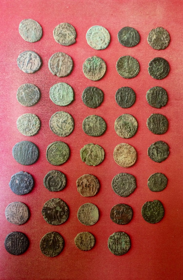 U Arheološkom muzeju Istre potvrdili da su novčići kulturno dobro (AMI)