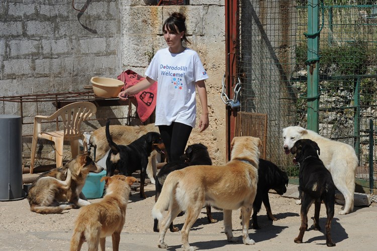 Volonterka Adrijana skrbi o napuštenim psima