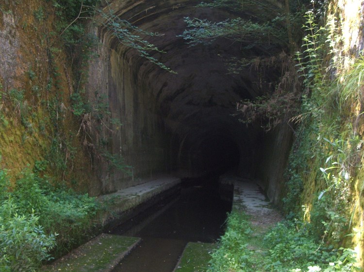 Onečišćena Boljunčica na ulazu u tunel (R. SELAN)