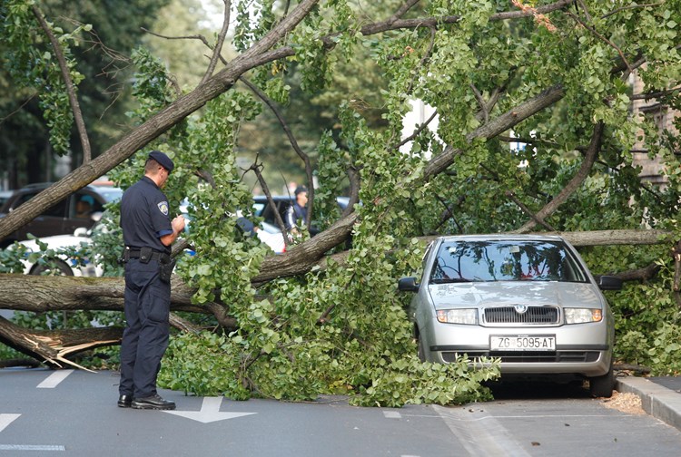 Nevrijeme u Zagrebu rušilo stabla (N. DUGI/CROPIX)