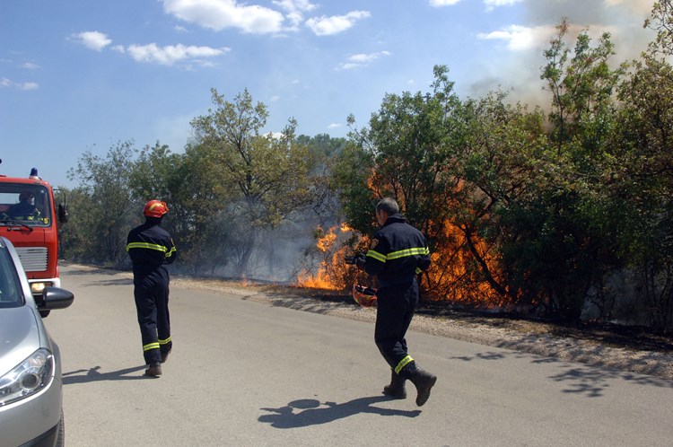 Požar na cesti Plovanija - Savudrija