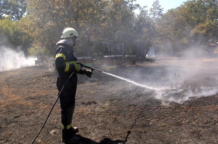 Vatrogasci su spasili od vatre 80 košnica (M. SARDELIN)