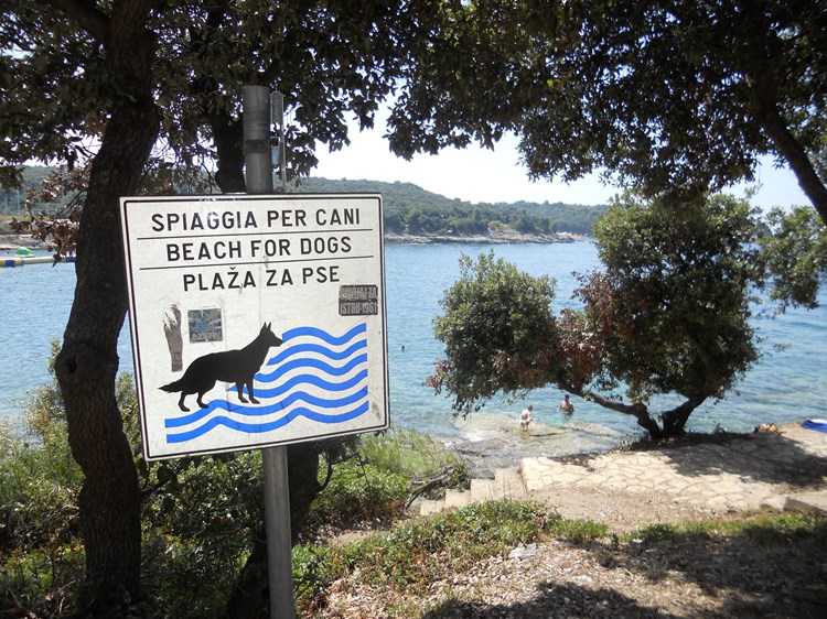 Psi se mogu kupati na Verudeli i Saccorgiani (P. LUKEŽ)