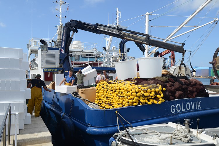 Ribari mogu dobiti do 400 tisuća eura po projektu ukoliko prenamijene svoje ribarice