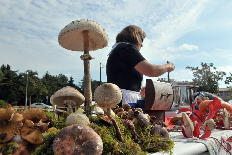 U sklopu gljivarijade organizirana je i izložba gljiva
