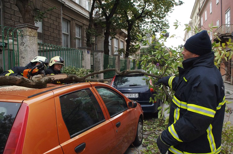 Početkom tjedna pod stablima su stradali automobili (D. MEMEDOVIĆ)