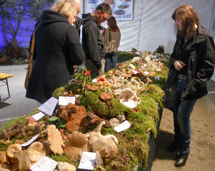 Izloženo je bilo 160 vrsta gljiva (K. FLEGAR)