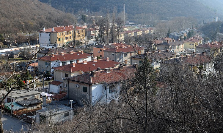 Panorama Raše (Arhiva)
