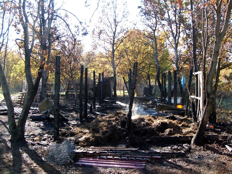 U nedjelju ujutro jaka je bura raspirila vatru na starom zgarištu pa je požar zahvatio sijeno na ograđenom pašnjaku (R. SELAN)