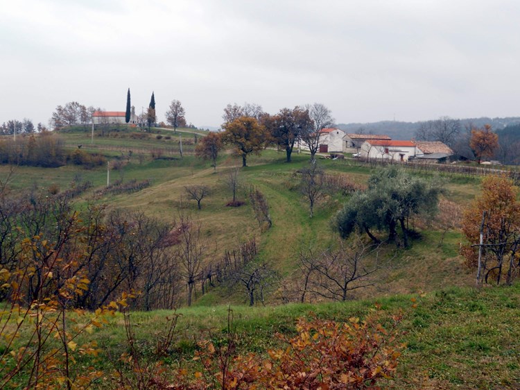 Naselje Sveti Stjepan nema vodovoda (A. DAGOSTIN)