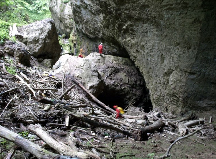 Ulaz u Pazinsku jamu zatrpan je trupcima (SD Istra)