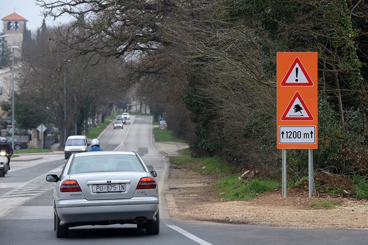 Prometni znak koji bi mogao dodatno zbuniti vozače (M. ANGELINI)