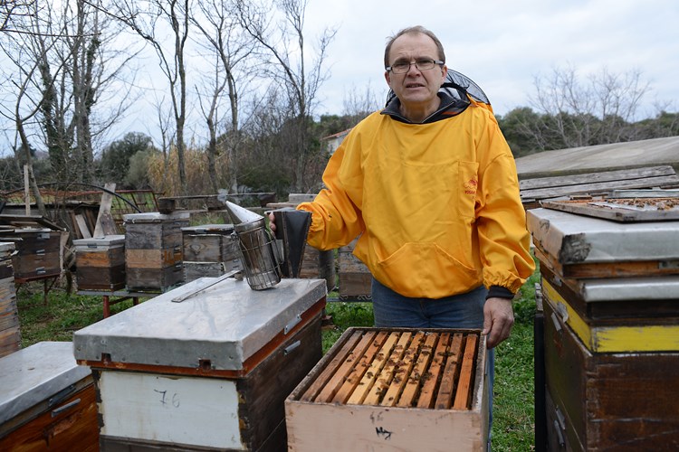 Miro Bulić rekao da je godina bila loša za pčelare (M. MIJOŠEK)