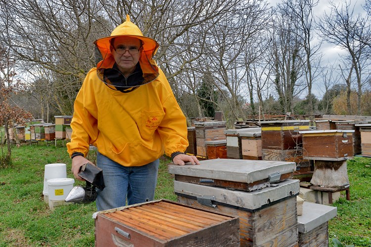 Miro Bulić godinama se bavi proizvodnjom i prodajom pčelarskih proizvoda (M. ANGELINI)