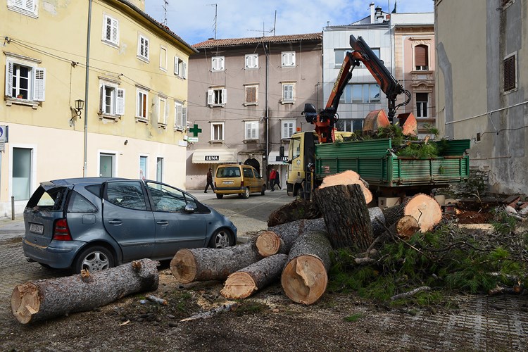 Nakon procjene, uklonjeno je stablo s uništenog automobila (M. ANGELINI)