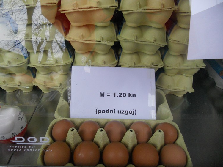 Jaja iz podnog uzgoja (B. PETROVIĆ)