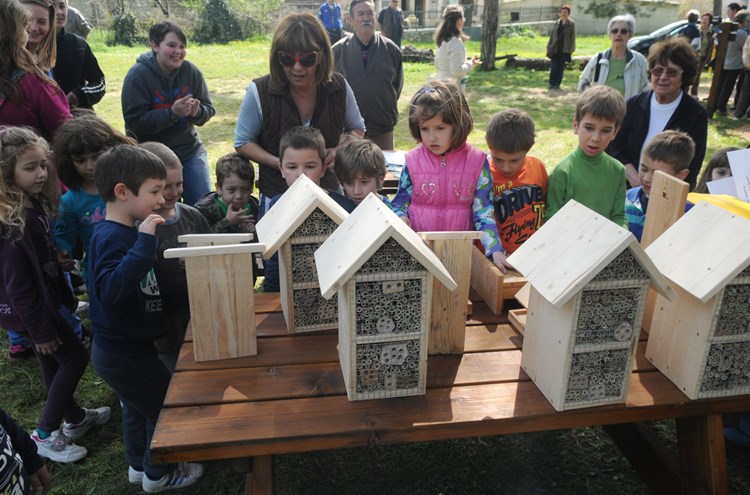 Djeca iz zajednice tehničke kulture Pula napravila su kućice i hranilice za ptice i solitarne pčele (D. ŠTIFANIĆ)