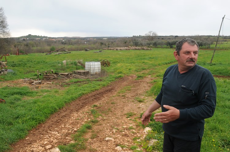 Zemljište na kojem obitelj Vitasović planira graditi modernu štalu s mljekarom (D. ŠTIFANIĆ)