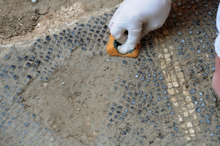 Strpljivo čišćenje novih arheoloških nalaza (M. MIJOŠEK)