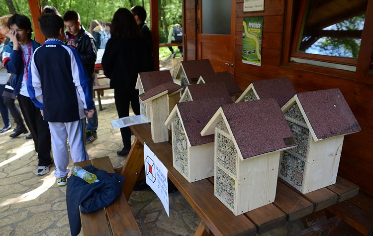 Na stazi Mali princ postavljene kućice za solitarne pčele (M. ANGELINI)