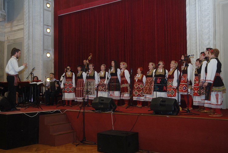 Pjevačka skupina Despina (D. MEMEDOVIĆ)