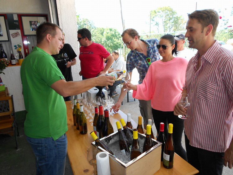 U vinariji Roxanich u Kosinožićima tražena su bila odležana vina (D. ŠIŠOVIĆ)