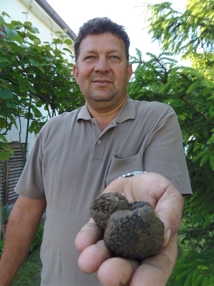 Darko Paladin s crnim tartufima iskopanim u dvorištu (G. ČALIĆ ŠVERKO)