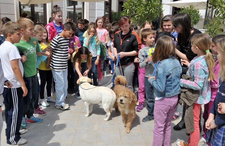 Osnovnoškolci su učili o životinjama (N. LAZAREVIĆ)