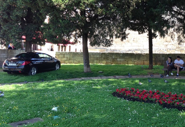 "Najbolje" parkirani auto snimljen jučer u hladovini Parka mladenaca (P. GREGOROVIĆ)